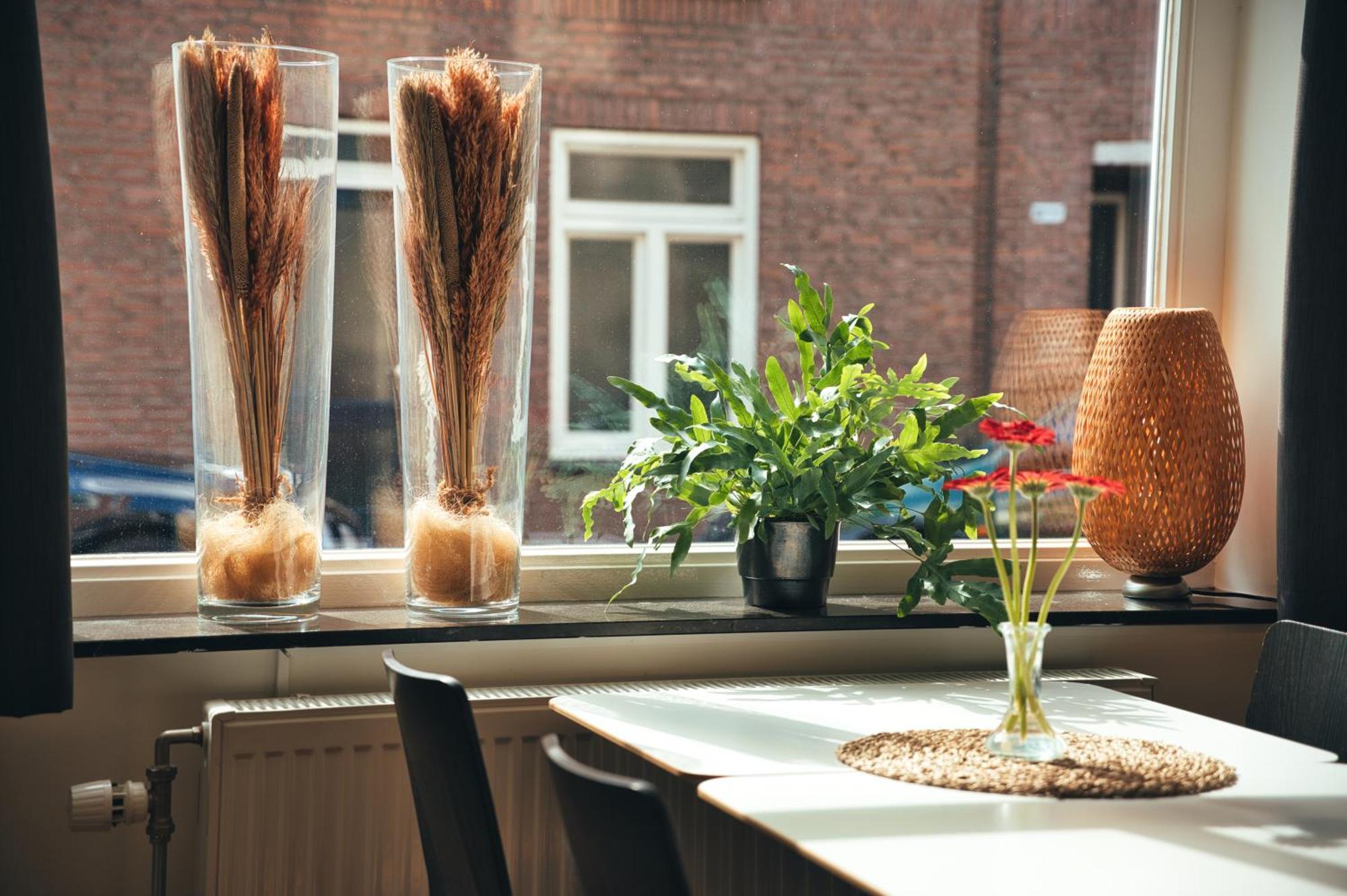 B&B De Hofnar Roermond Esterno foto